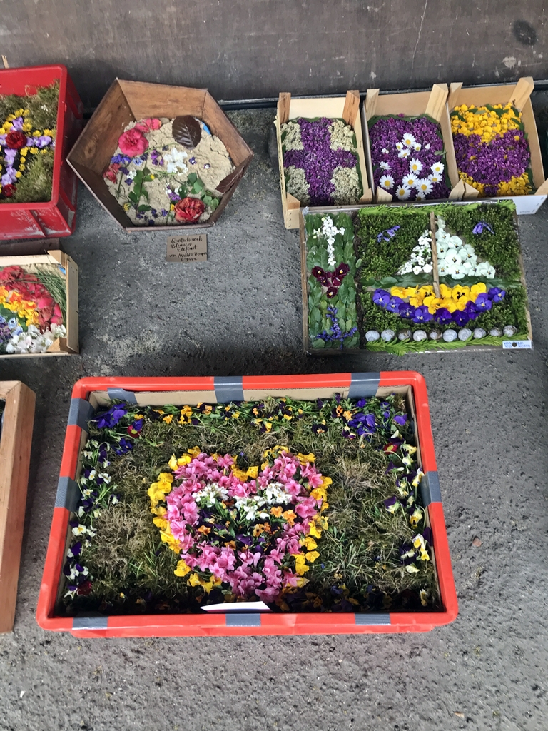 Brautpfad2 14.05.26
